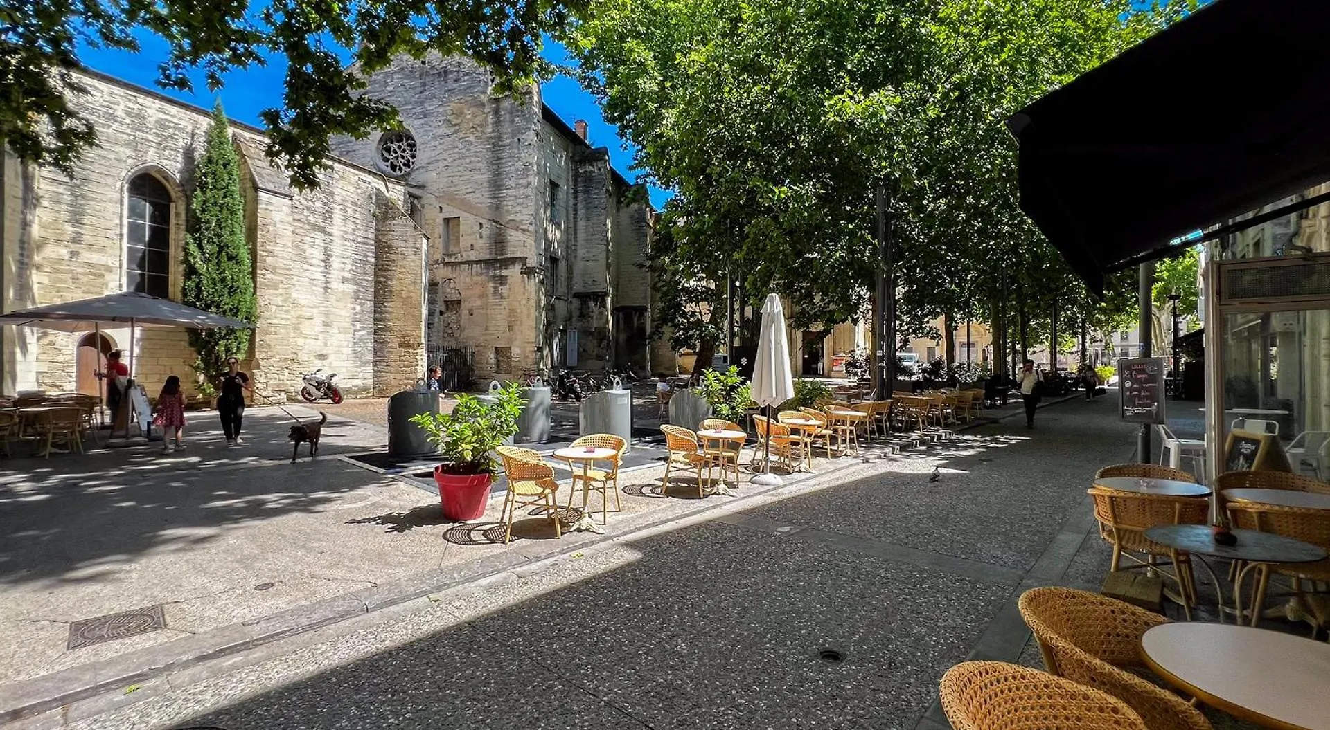 Appartement Hypercenter - Wifi - Near Place Des Corps Saints Avignon
